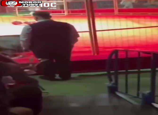 Video :Unsettling - a Russian circus bear on a hoverboard assaults his trainer in front of onlookers